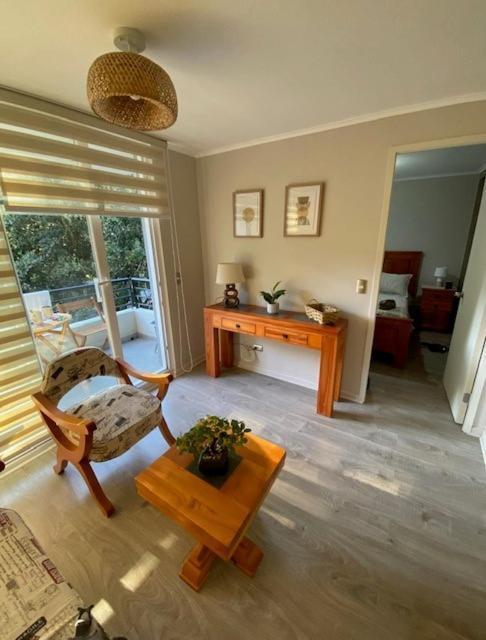 Apartamento Lindo Y Comodo Departamento Pucón